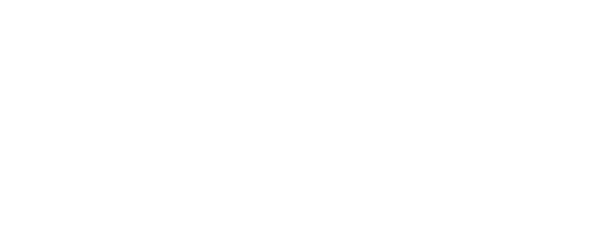 Logo image Manchester