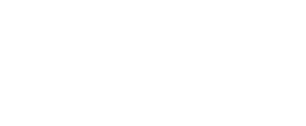 Logo image Southampton